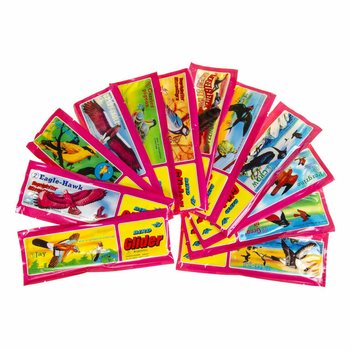 Avions d'oiseaux en mousse en pr&eacute;sentoir (48 pcs)