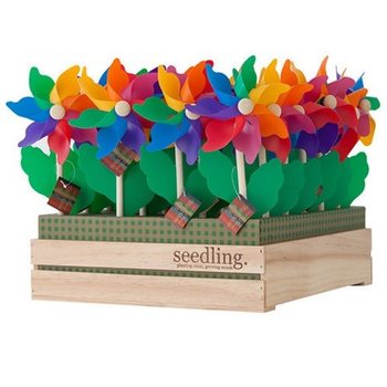 SEEDLING - MOULINS À VENT EN PRÉSENTOIR (20 pcs)