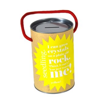 Seedling - Kit de culture pour créer ses propres cristaux