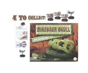 Kit d'Excavation Crâne de Dinosaure (12 pcs)
